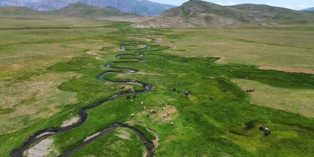 2600 rakımda doğa keyfi! Havası serin, görüntüsü mest edici: Burası ziyaretçi akınına uğruyor! 4